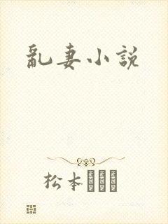 乱妻小说