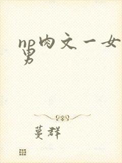np肉文一女多男