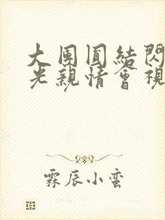 大团圆结闪闪发光亲情会视频