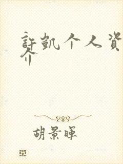 许凯个人资料简介