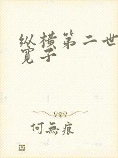 纵横第二世界 宽子