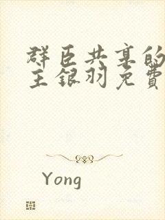 群臣共享的小公主银羽免费阅读