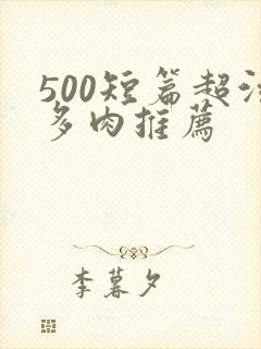 500短篇超污多肉推荐