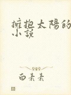 拥抱太阳的月亮小说