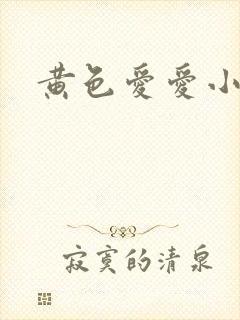 黄色爱爱小说