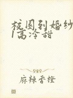 校园到婚纱1V1高冷甜