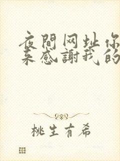 夜间网址你会回来感谢我的