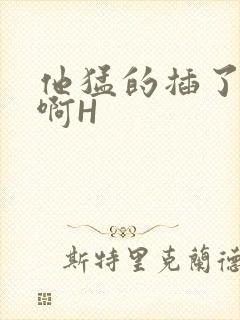 他猛的插了进去啊H