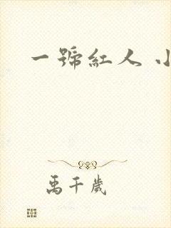 一号红人 小说