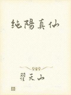 纯阳真仙