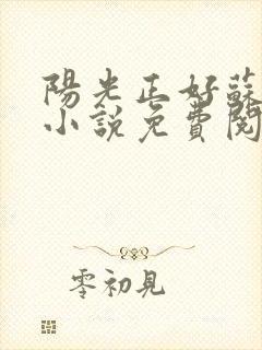 阳光正好苏玥玥小说免费阅读