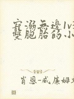 宠溺无边1v3双胞胎的小说