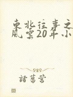 东北往事之黑道风云20年小说