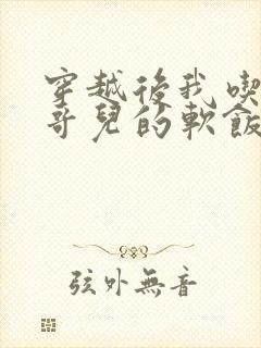 穿越后我吃到了哥儿的软饭炉山灰