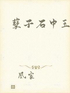 孽子石中玉