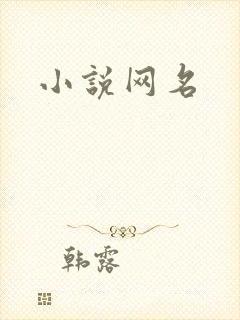 小说网名