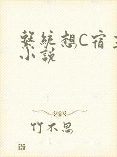 系统想C宿主的小说