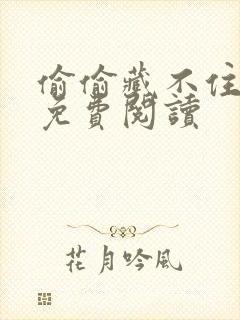 偷偷藏不住小说免费阅读