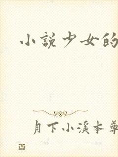 小说少女的心