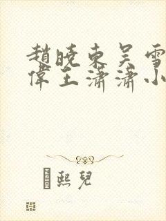 赵晓东吴雪晴郑伟王潇潇小说