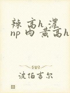辣 高h 浓 np 肉 黄高h