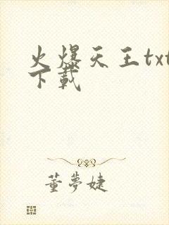 火爆天王txt下载