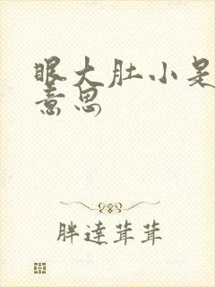 眼大肚小是什么意思