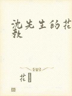 沈先生的花式管教