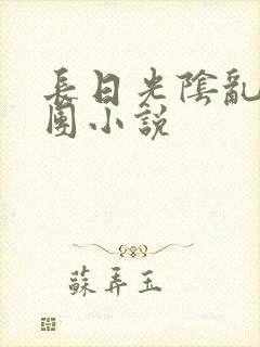 长日光阴乱作一团小说