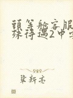 头等舱客服的特殊待遇2中字