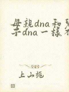 母亲dna和儿子dna一样不