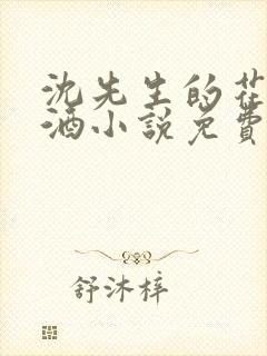 沈先生的花式调酒小说免费阅读