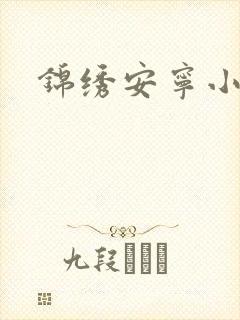 锦绣安宁小说