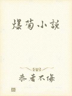 爆菊小说