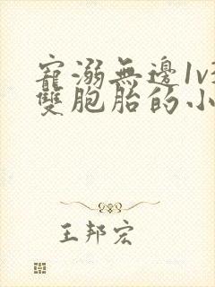 宠溺无边1v3双胞胎的小说