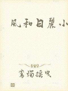 风和日丽小说