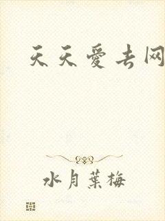 天天爱去网