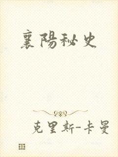 襄阳秘史
