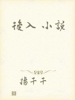 后入 小说