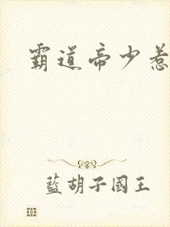 霸道帝少惹不得