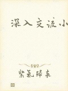 深入交流小说