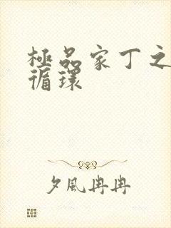 极品家丁之因果循环