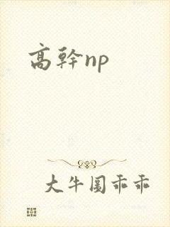 高干np