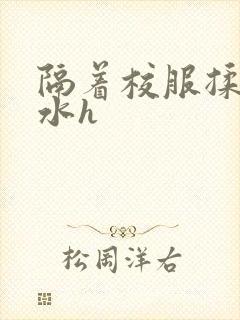 隔着校服揉h奶水h