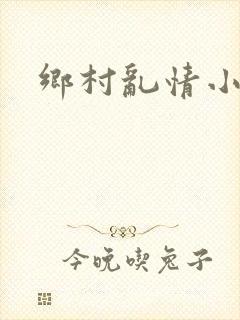 乡村乱情小说