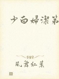 少白妇洁第二部