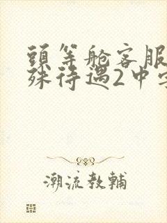 头等舱客服的特殊待遇2中字