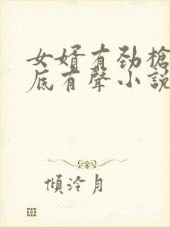 女婿有劲枪枪到底有声小说