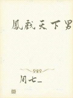 凤戏天下男