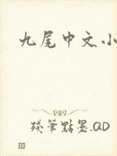 九尾中文小说网